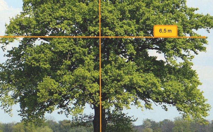 Digitales Baumkataster erfasst Daten vor Ort im offline-Verfahren